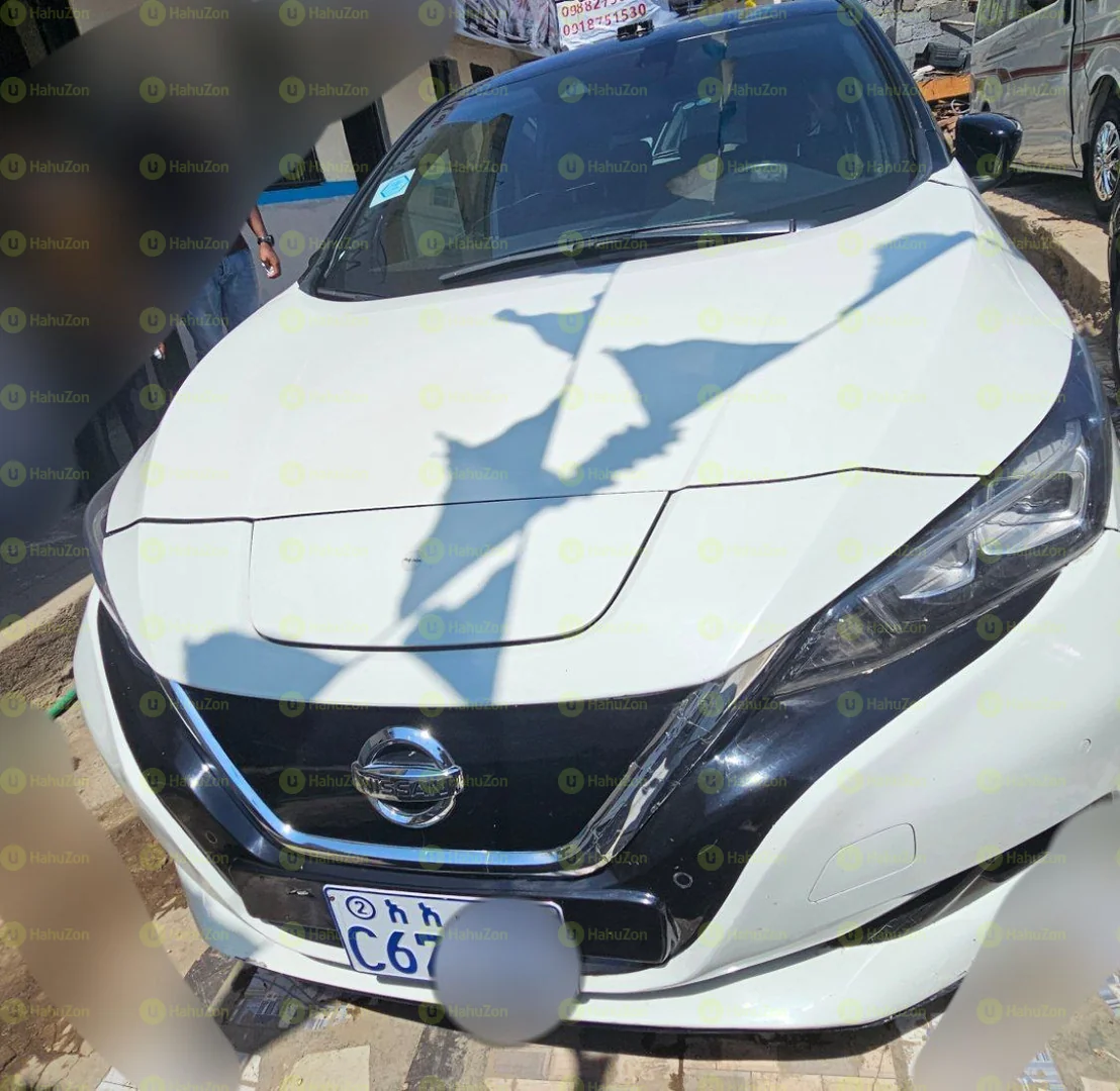 2022 Model-Nissan Leaf