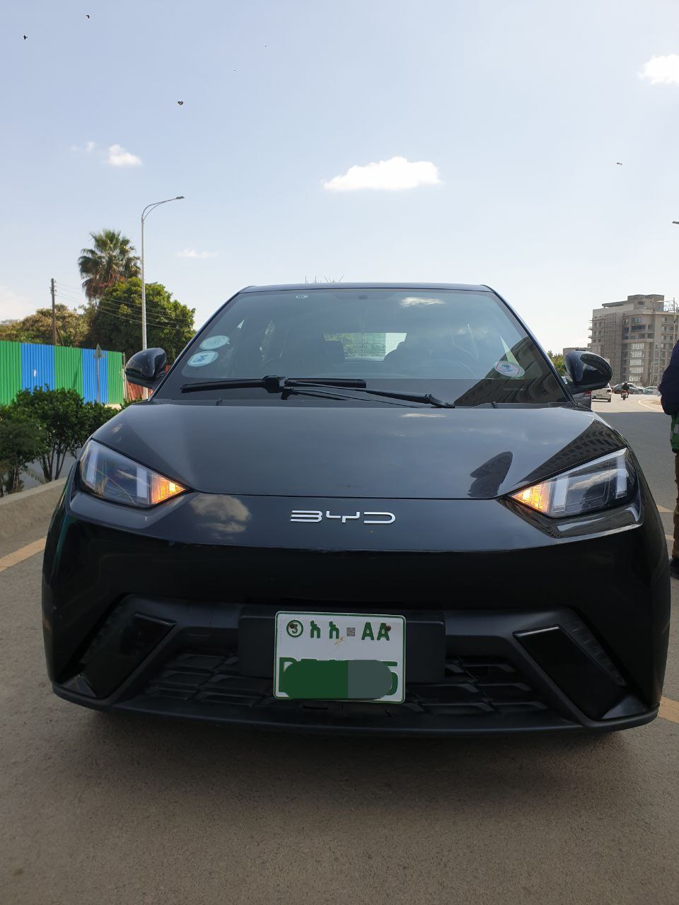 2024 Model-BYD Seagull