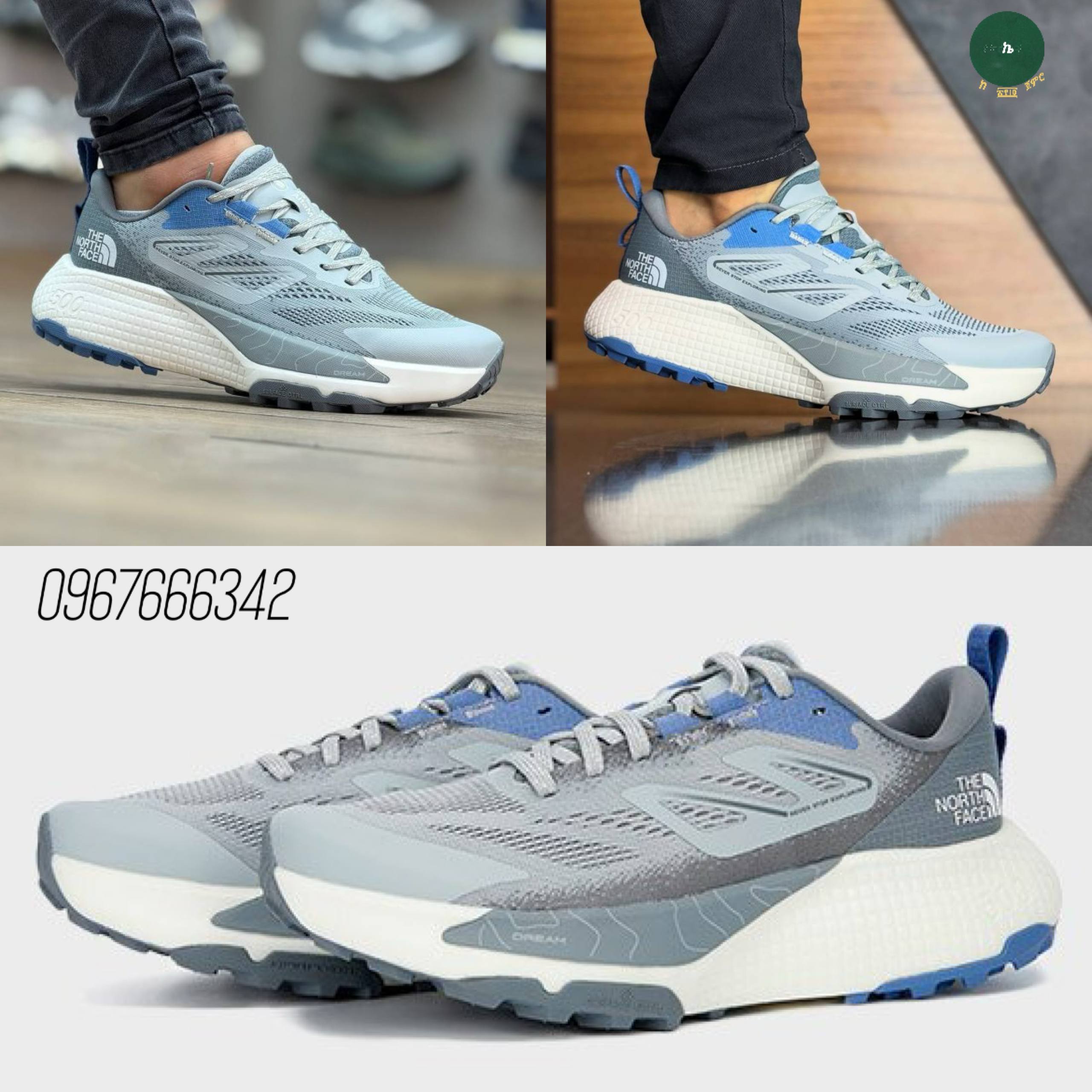 The North Face Altamesa 500 Men's Shoes