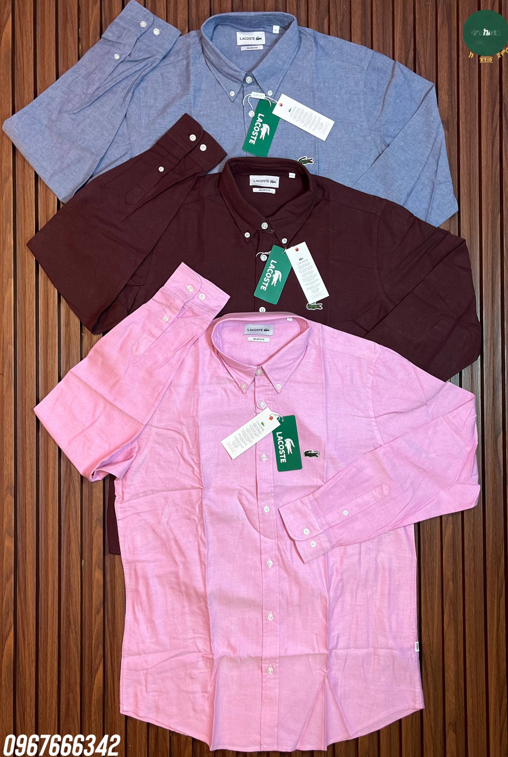 Lacoste Button Down Men's Shirt