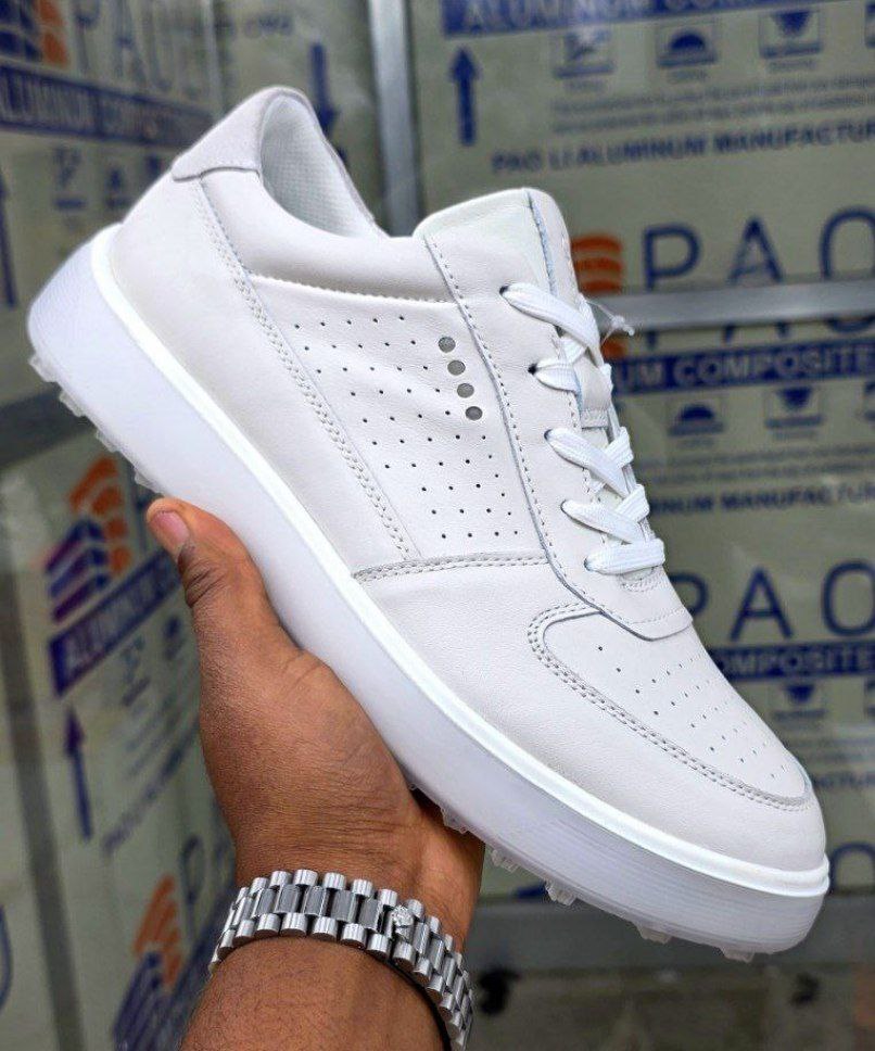 Ecco Flat Men's Shoes