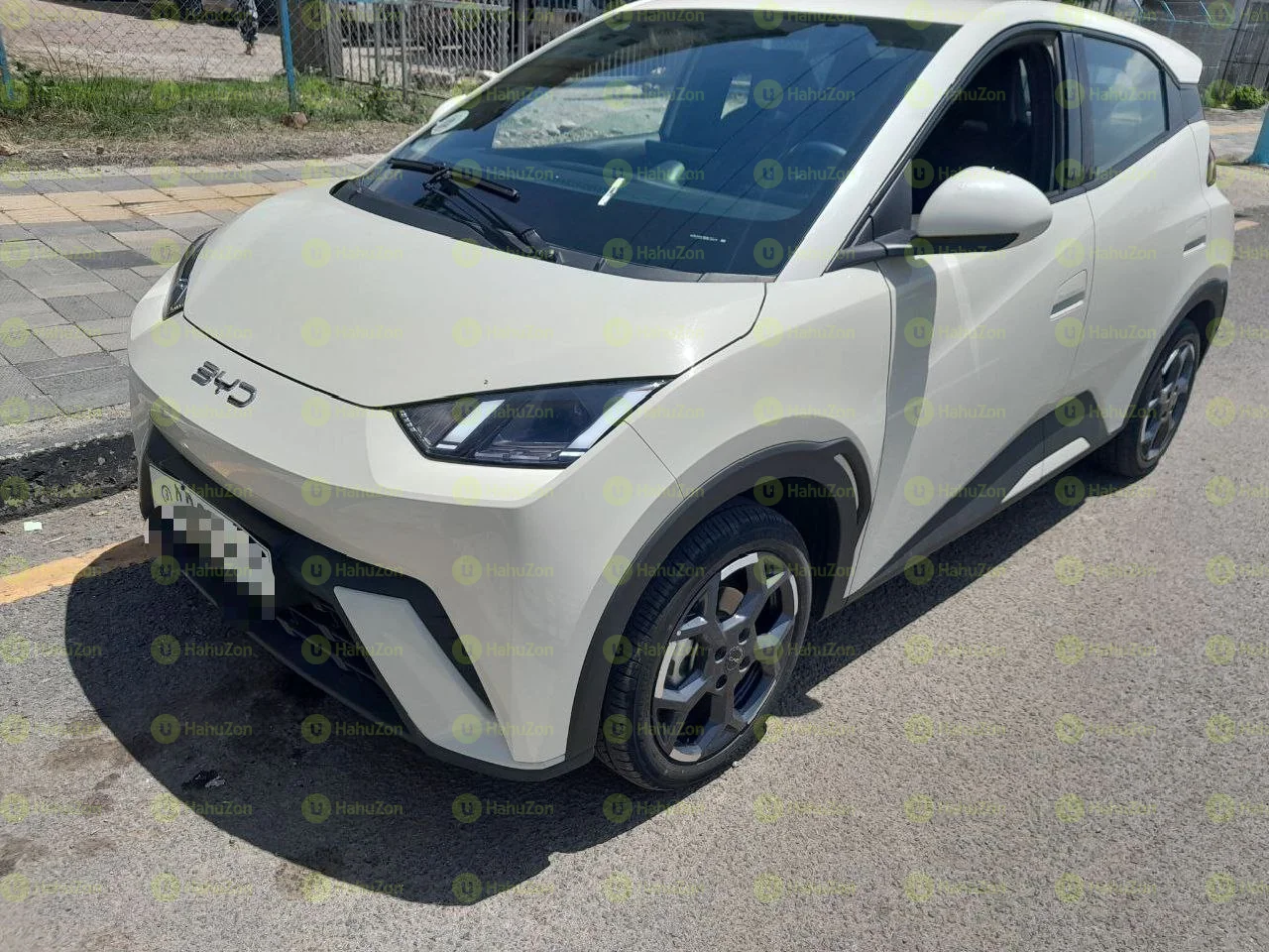 2025 Model-Byd Seagull