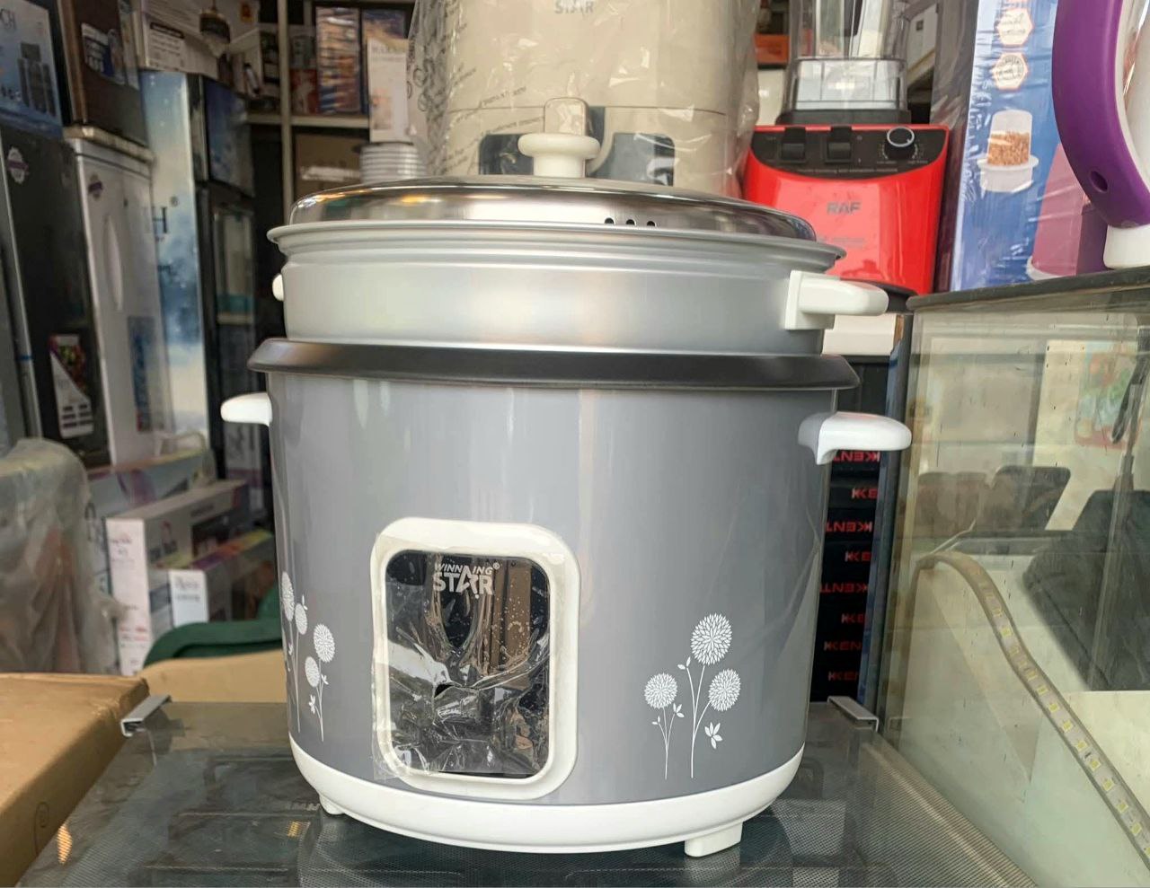 Winning Star Electric Cooker