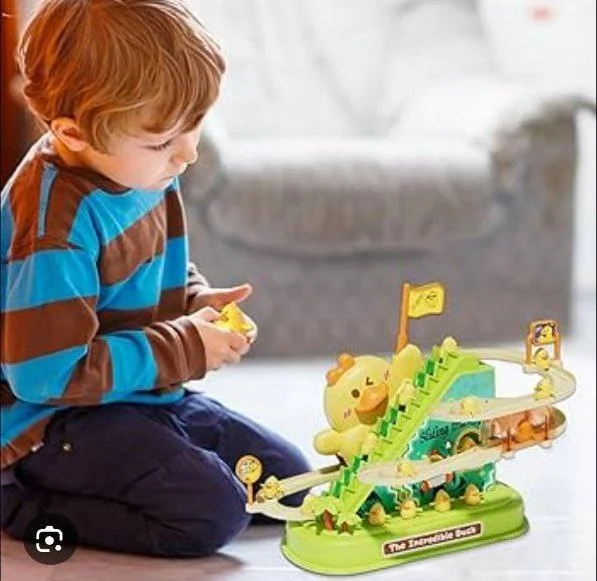 Electralc Cycle Duck Ladder