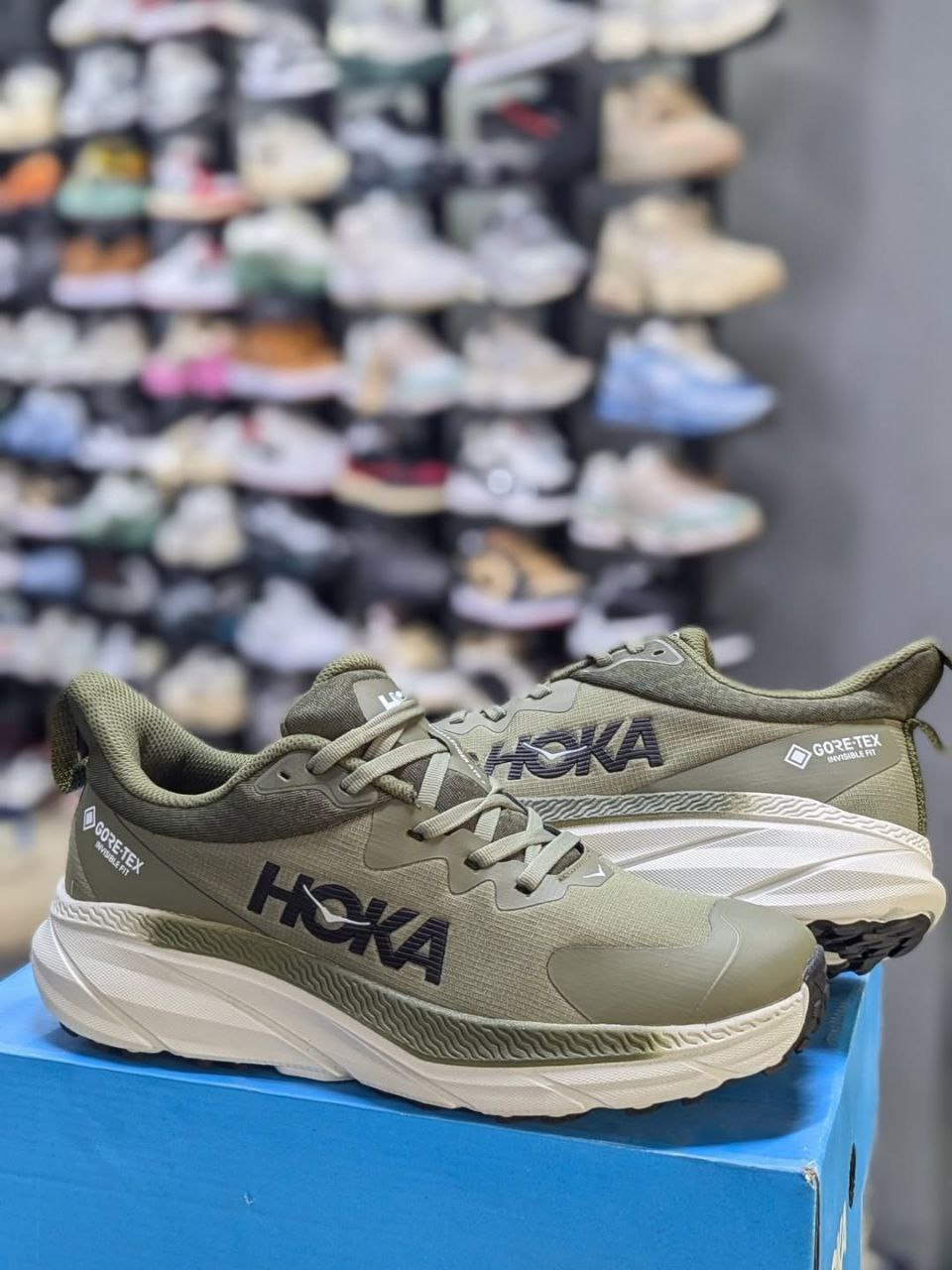 Hoka Gore-Tex Men's Shoes