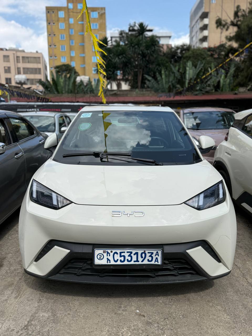 2024 Model- BYD Seagull