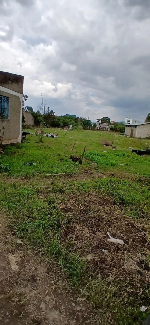 4500 ካሬ የሚሸጥ ቦታ በጃክሮስ