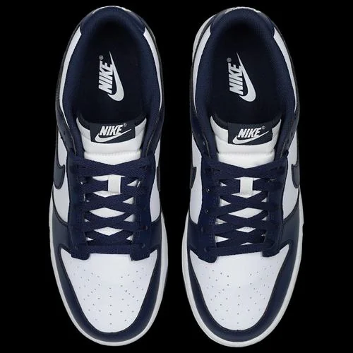Nike Dunk Low Men's Shoes