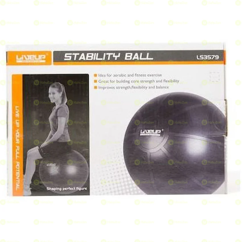 Gym Ball With Pump 75 Cm