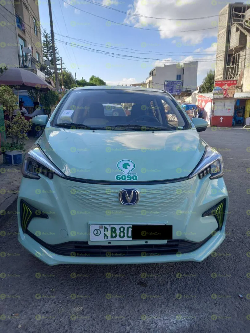 2023 Model-Changan BenBen E Star