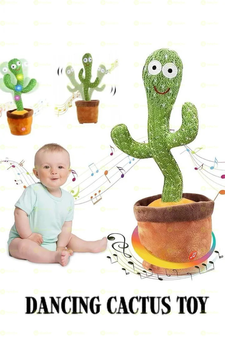 Dancing Cactus Toy