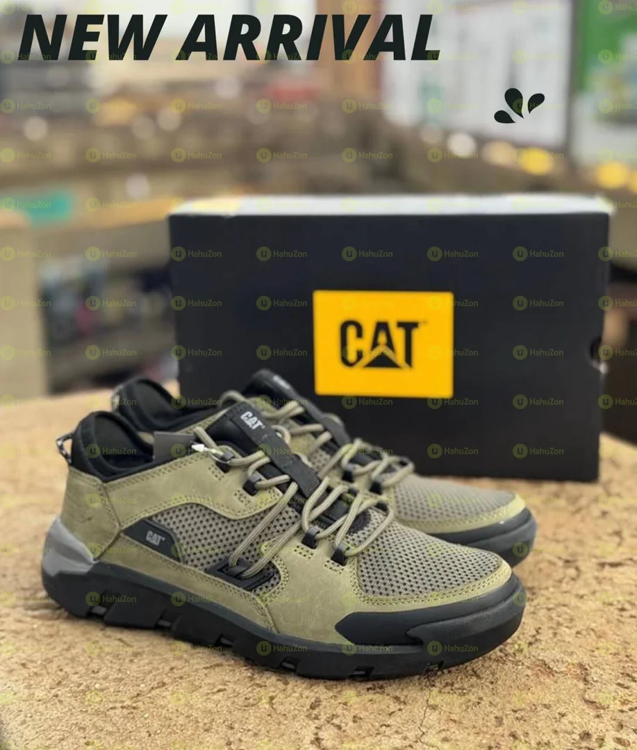 Cat Men's Shoes