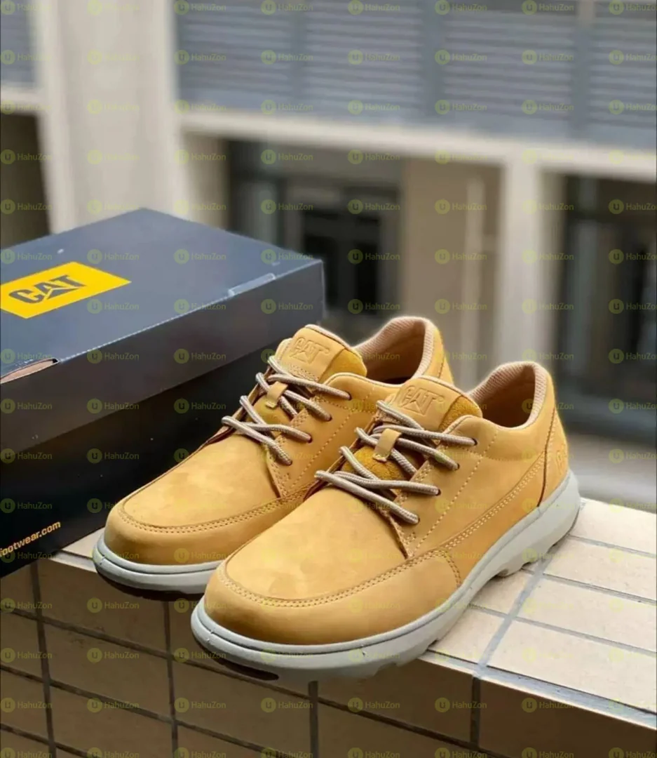 Cat Men's Shoes