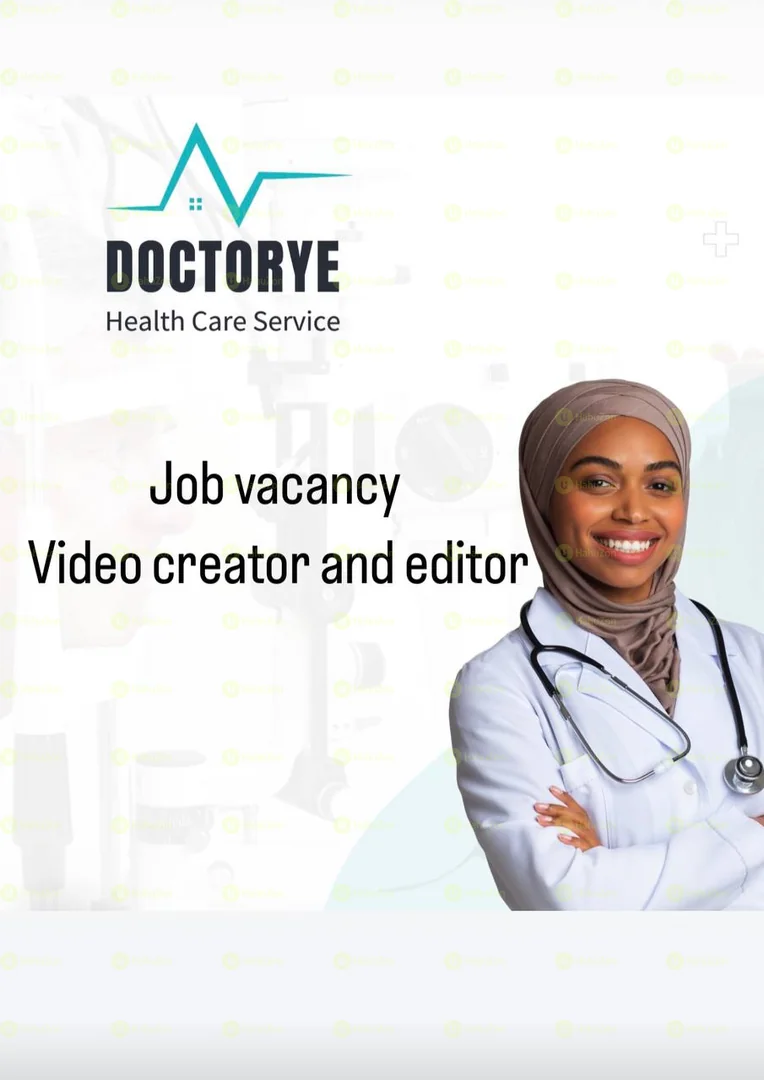 Sales & Distribution Intern  Company