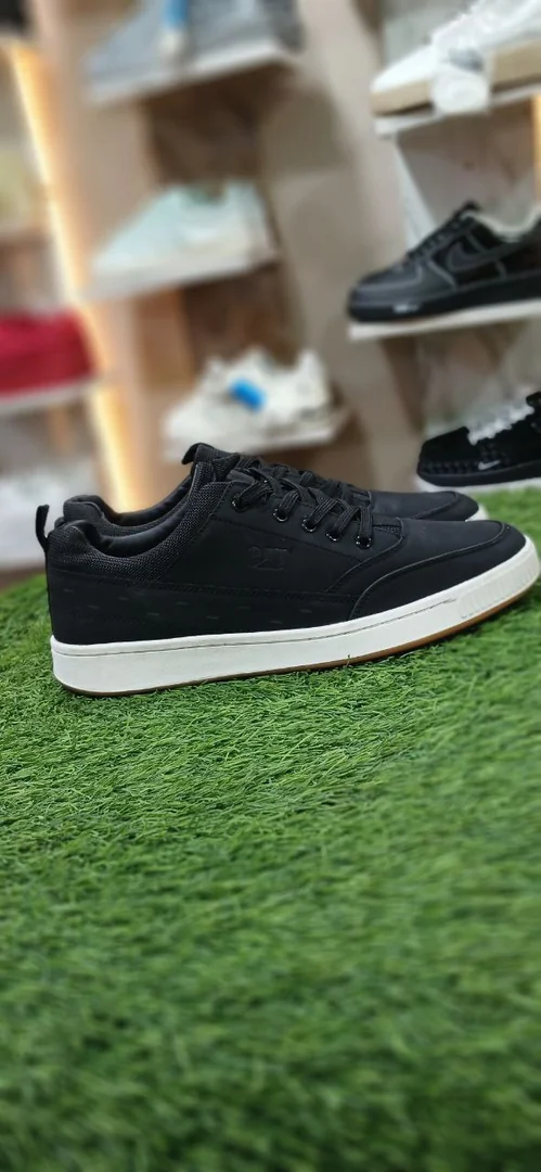Cat Men's Shoes