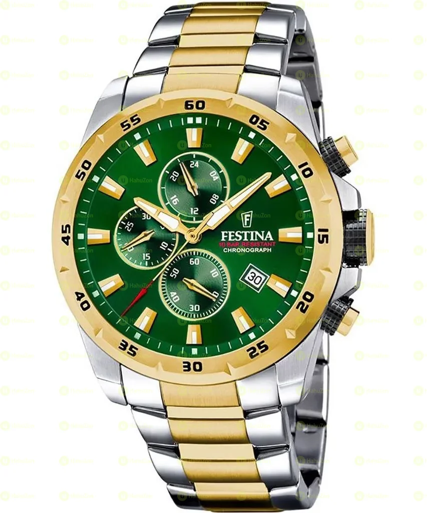 Festina Men's Watches
