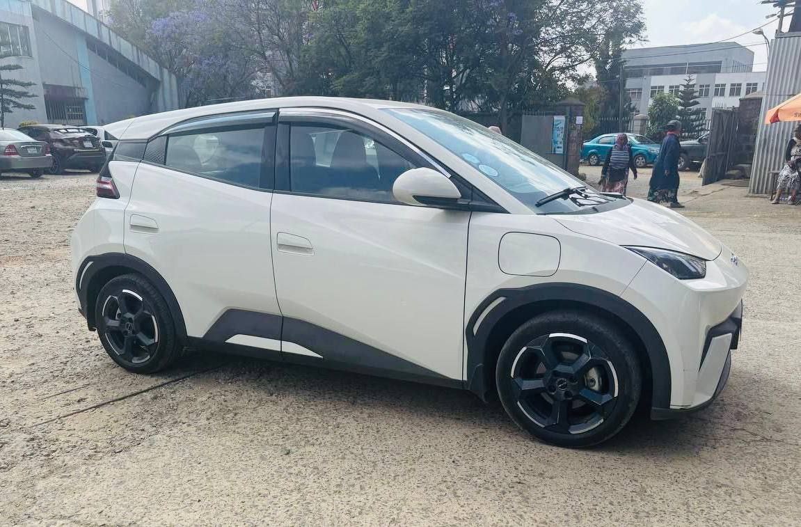 2024 Model- BYD Seagull