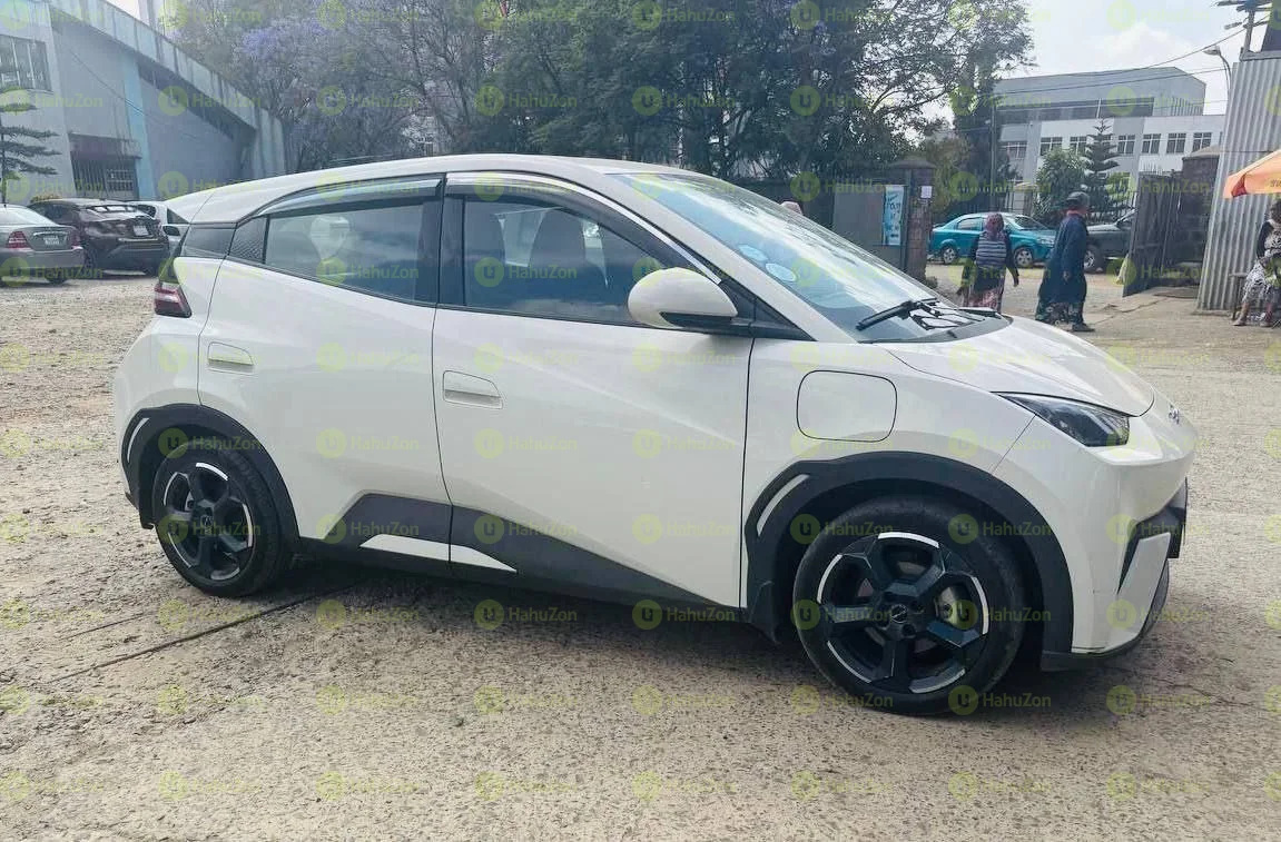 2024 Model- BYD Seagull