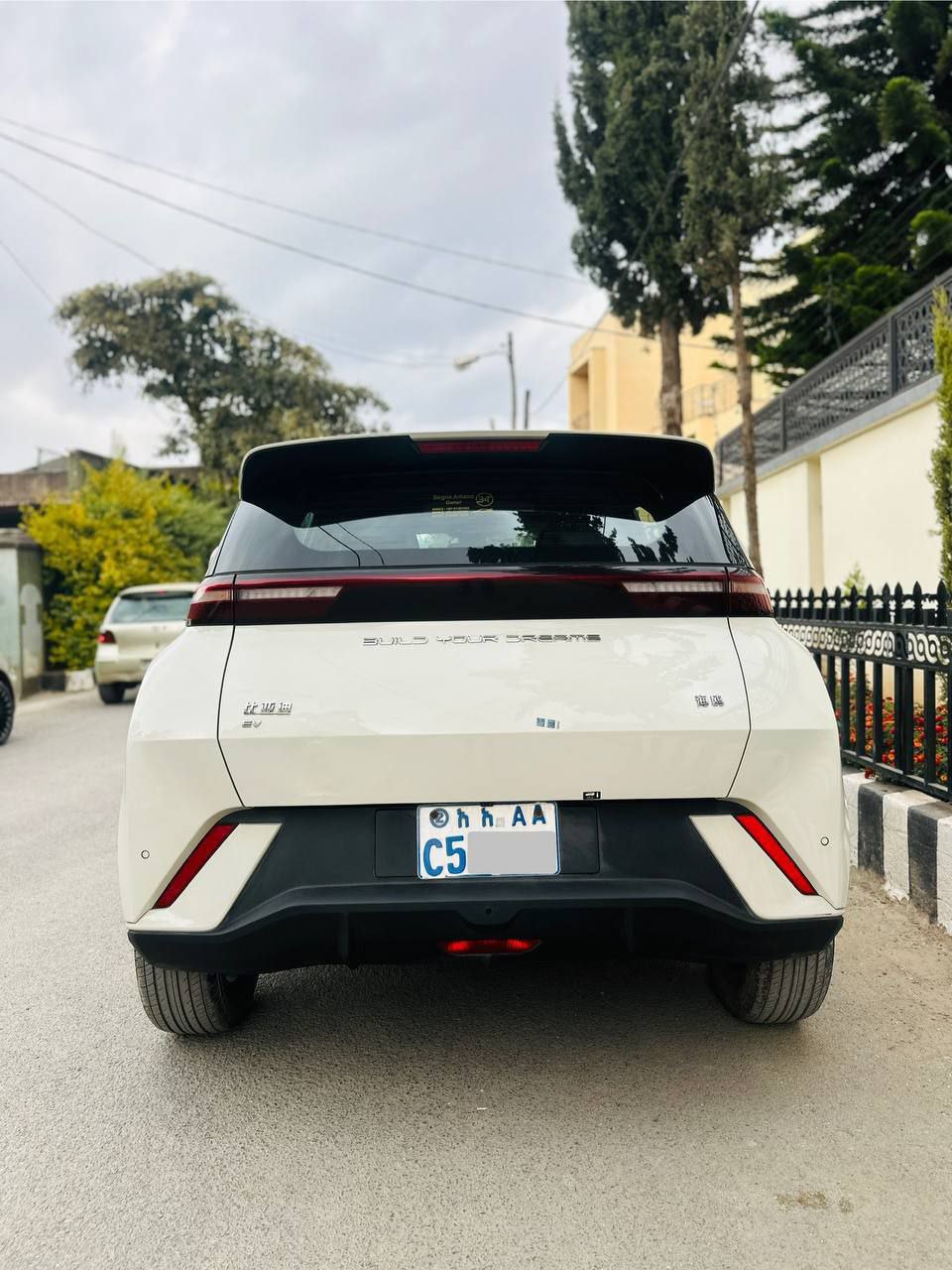 2024 Model- BYD Seagull