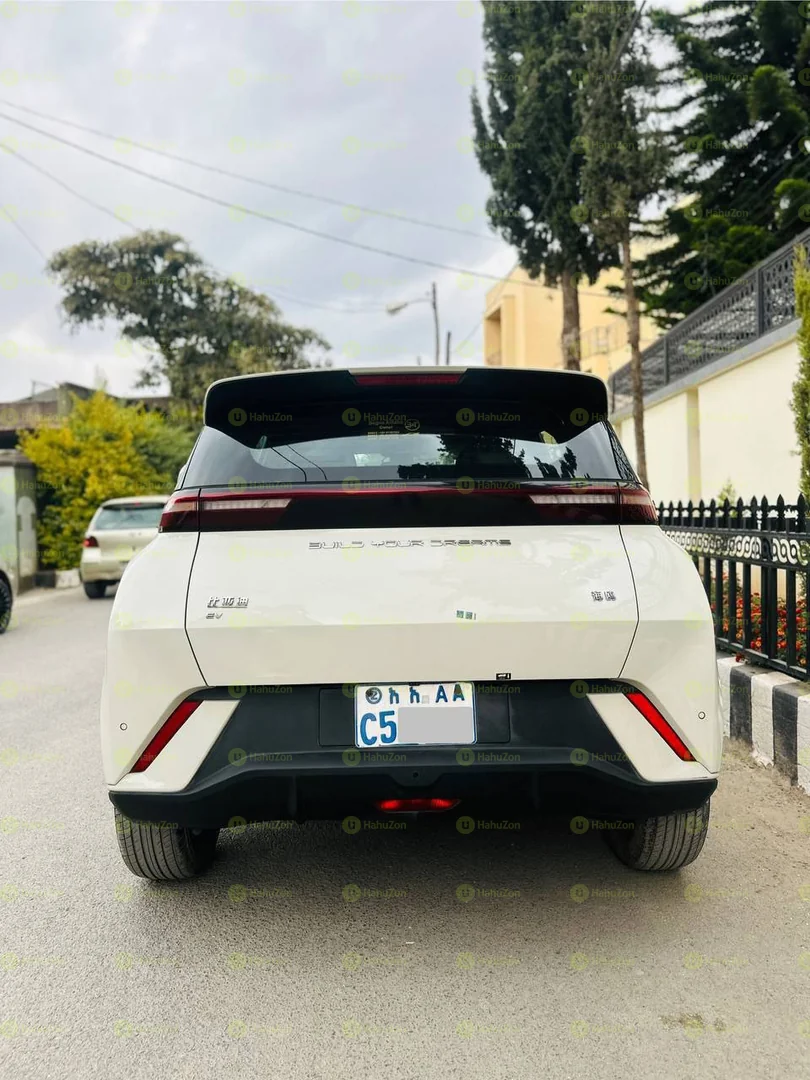 2024 Model- BYD Seagull