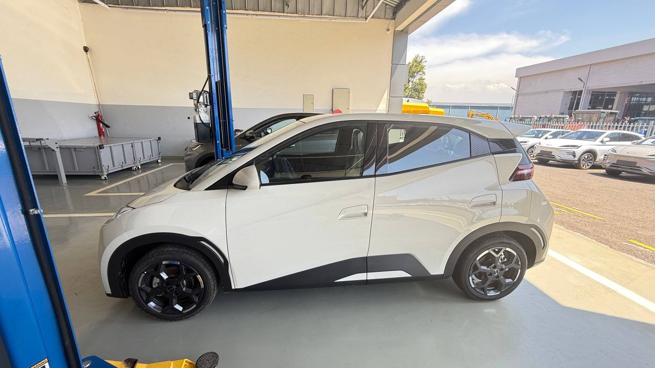 2025 Model- BYD Seagull