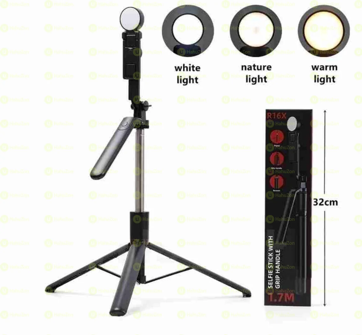 SX31 3 in 1 Multi-function Wireless Microphone