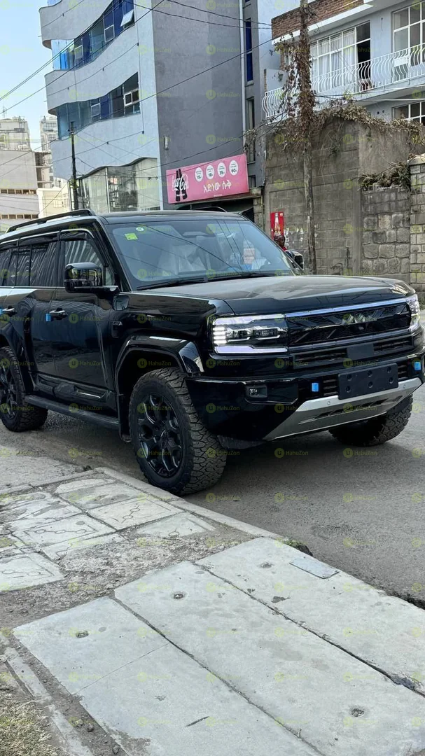 2025 Model-BYD Leopard 5