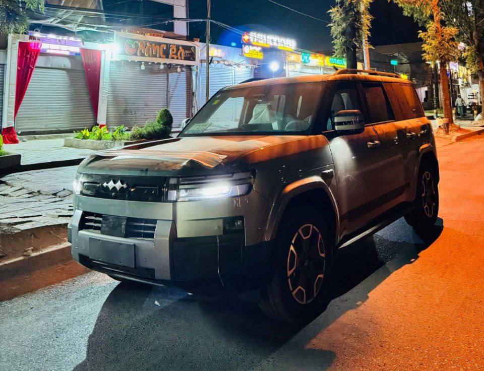 2025 Model-BYD Leopard Titanium 7 PHEV