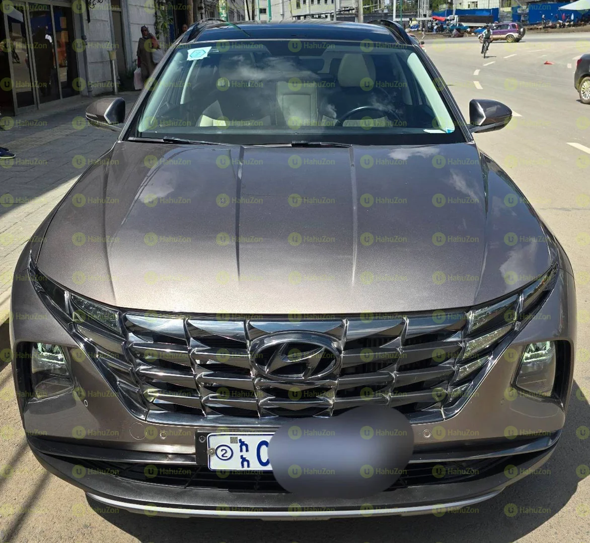 2022 Model-Hyundai Tucson