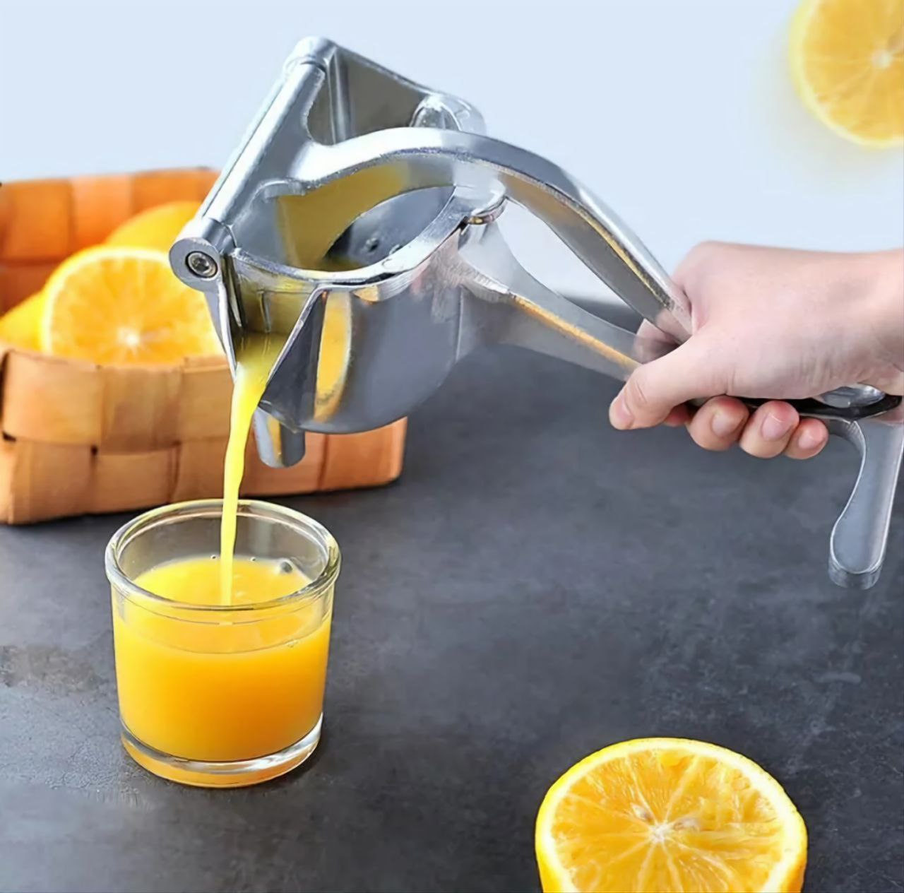 Manual Fruit Press