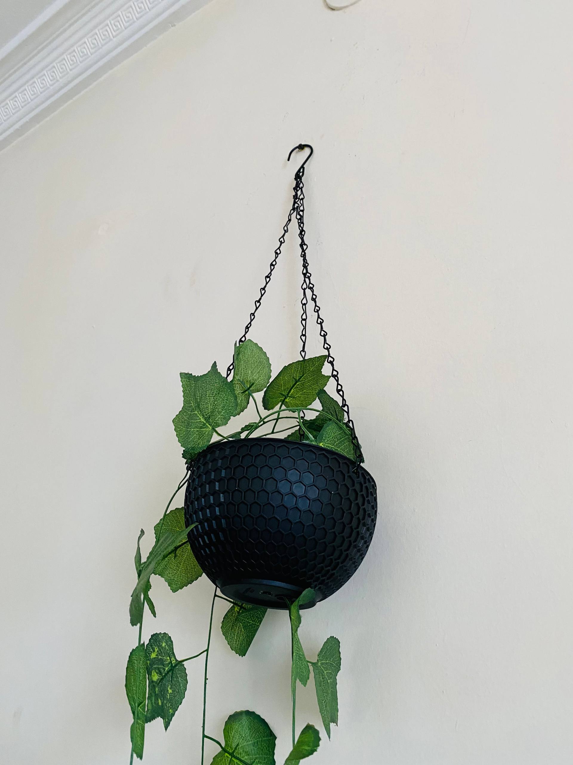 Hanging Plant Basket