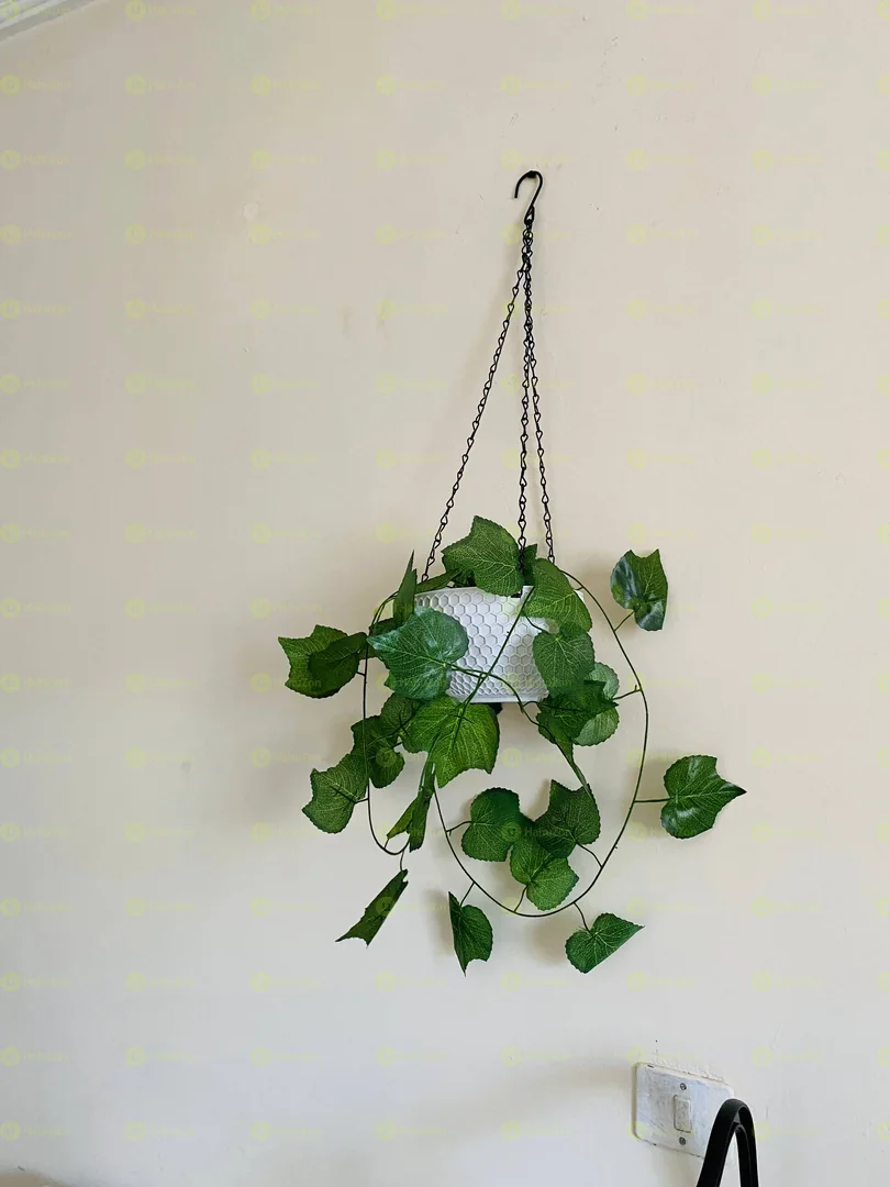 Hanging Plant Basket