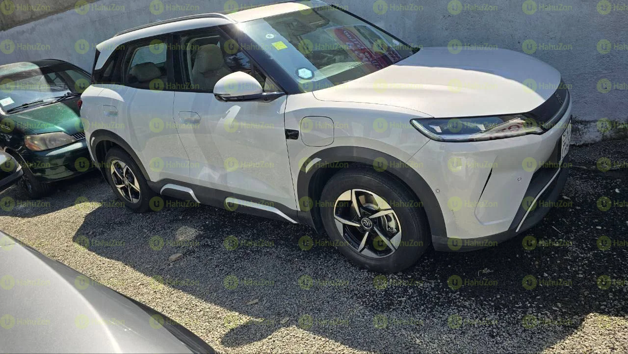 2025 Model-BYD Yuan Up