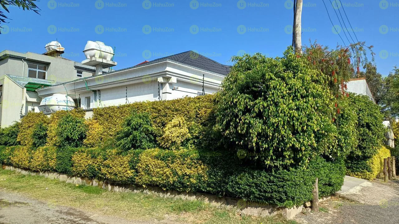 250 ካሬ የሚሸጥ ዘመናዊ ቪላ ቤት በሰሚት
