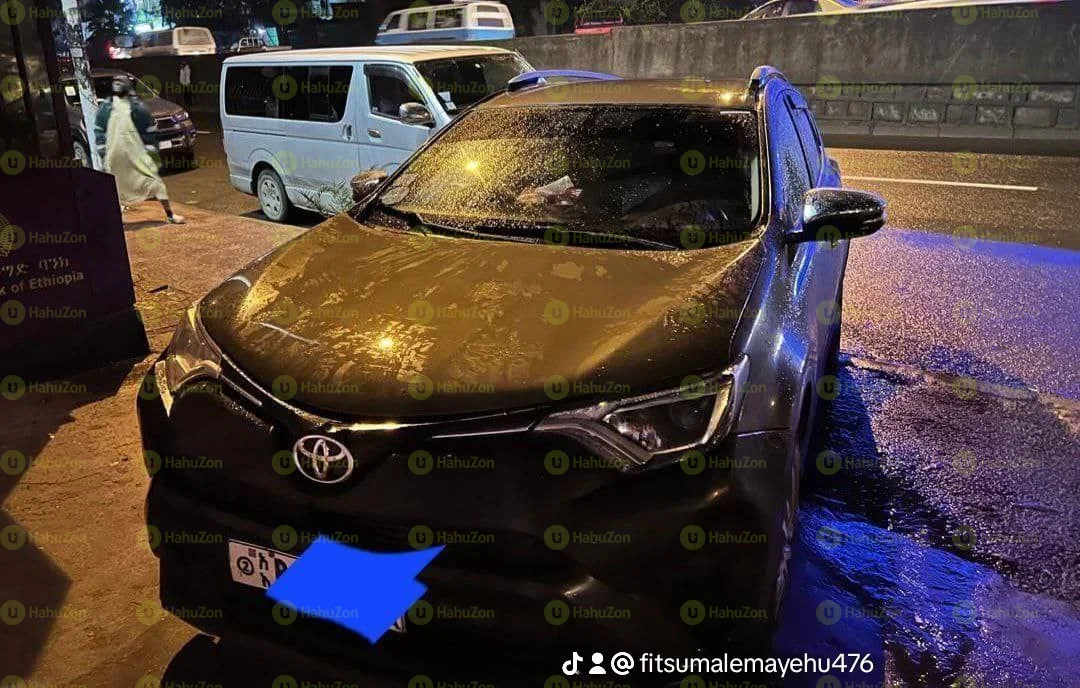 2016 Model-Toyota Rav4