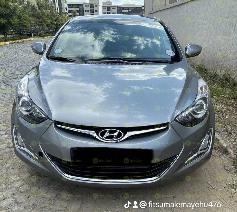 2013 Model-HyundaI Avanti