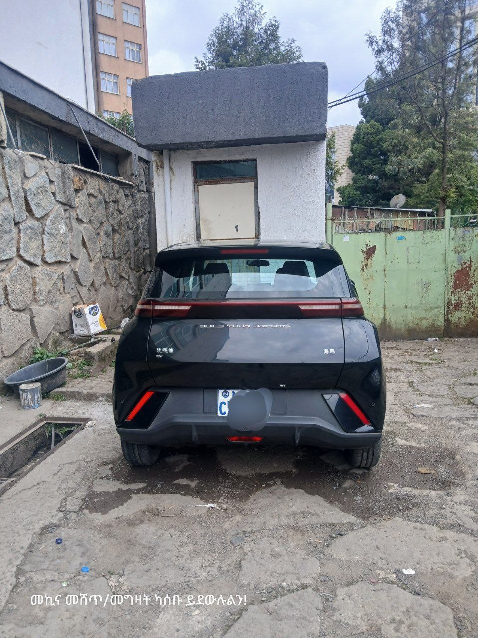 2024 Model- BYD Seagull