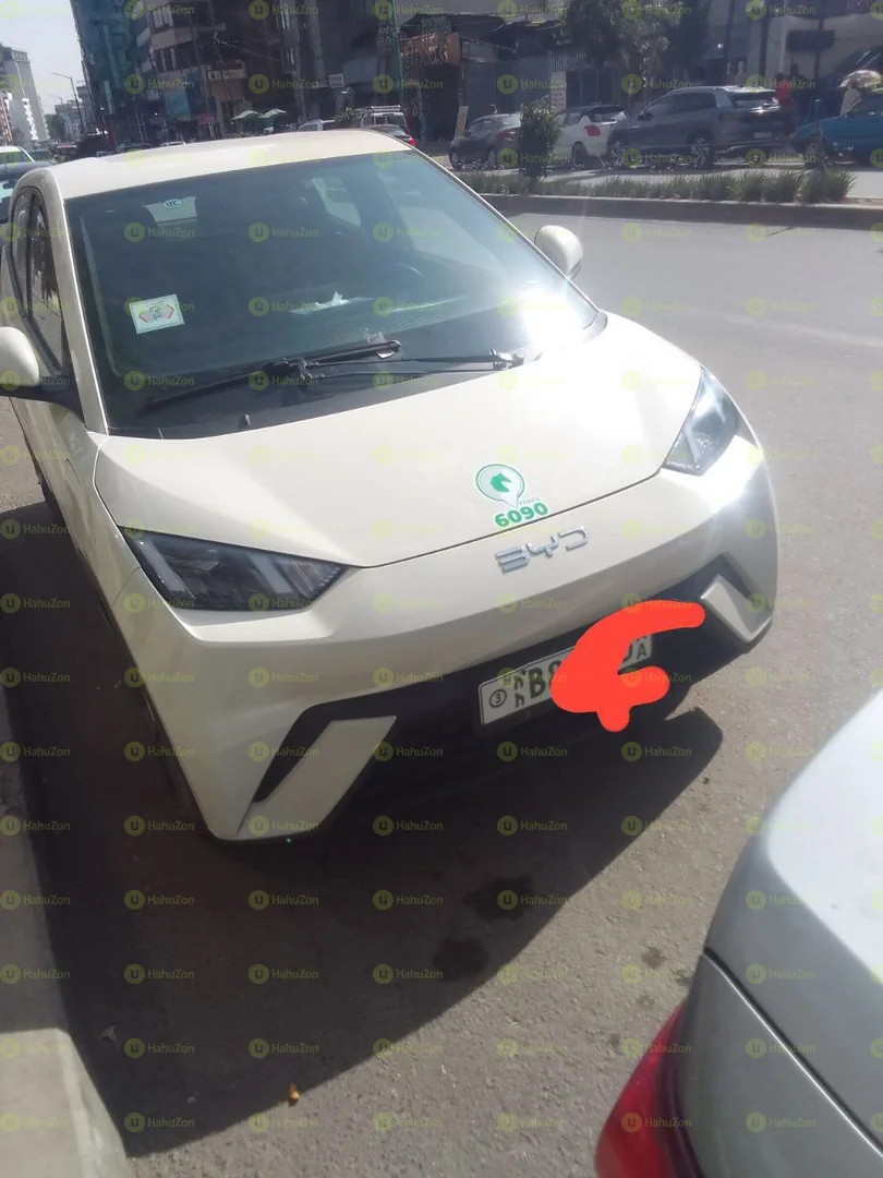 2024 Model- BYD Seagull