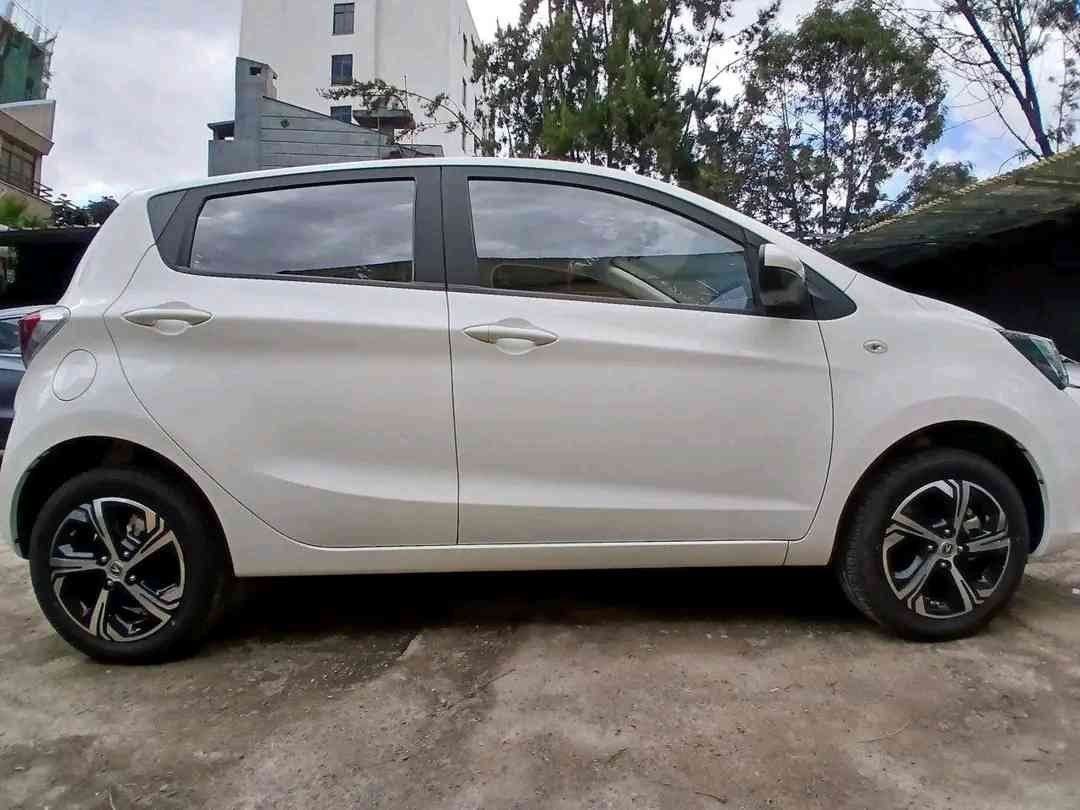 2023 Model-Changan E-star