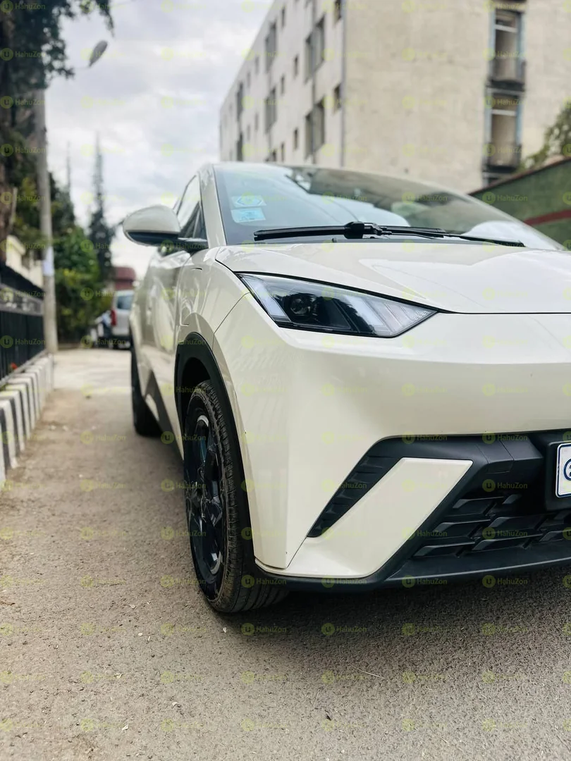 2024 Model- BYD Seagull