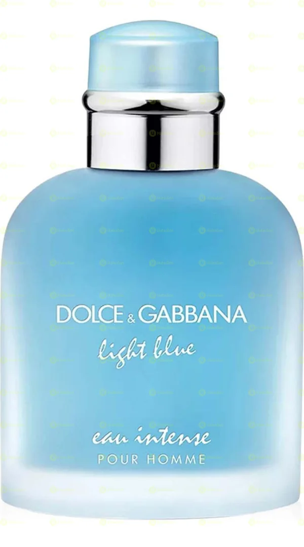 Dolce And Gabbana Light Blue Eau Intense Original Men's Fragrance
