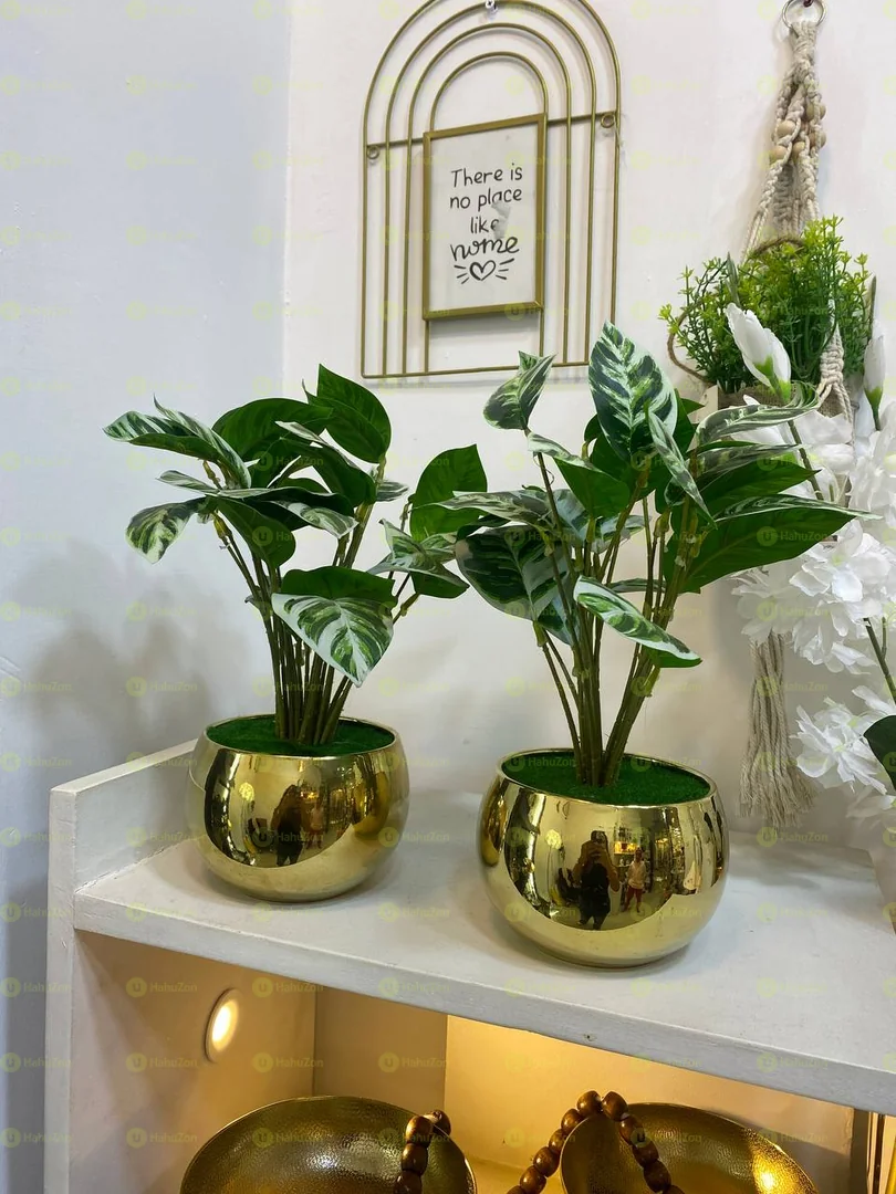 Ceramic Golden Pot and Green Leaf