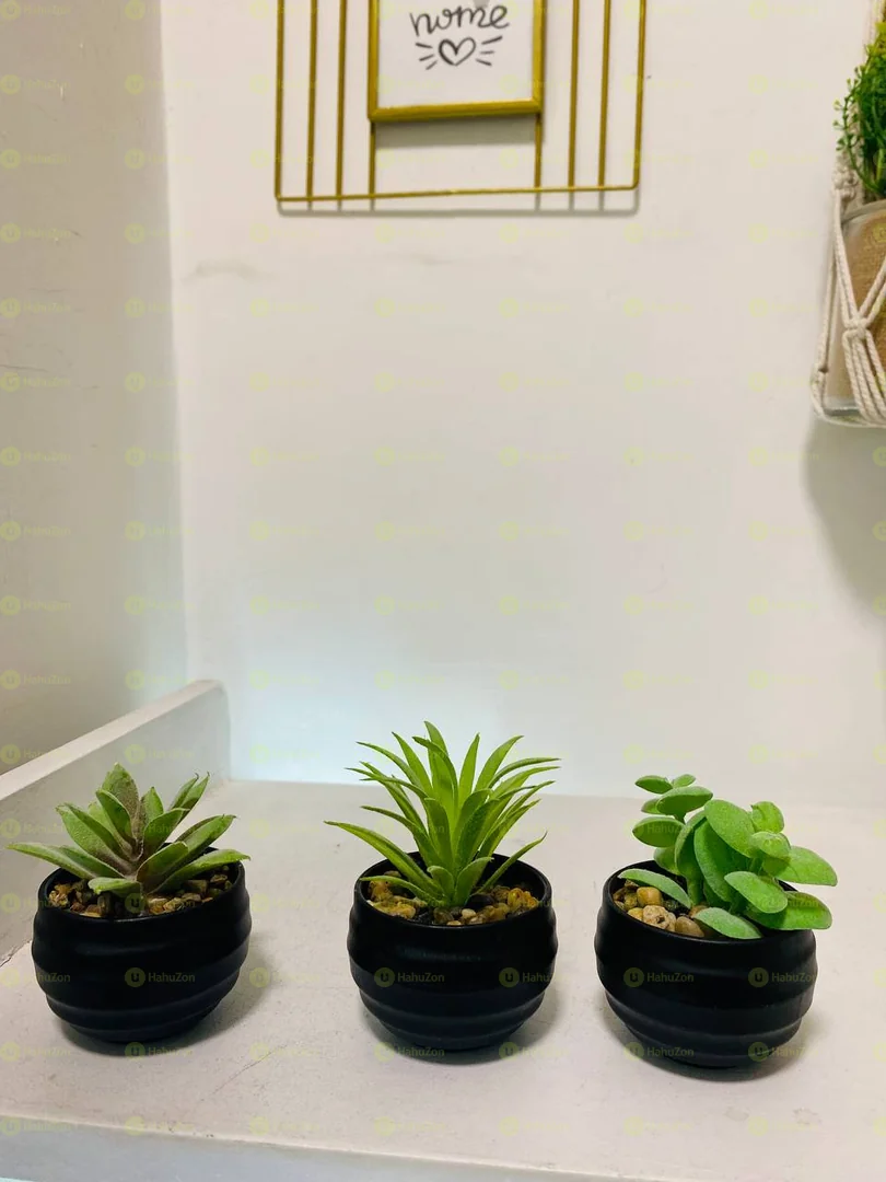 Mini Decorative Flower Pots