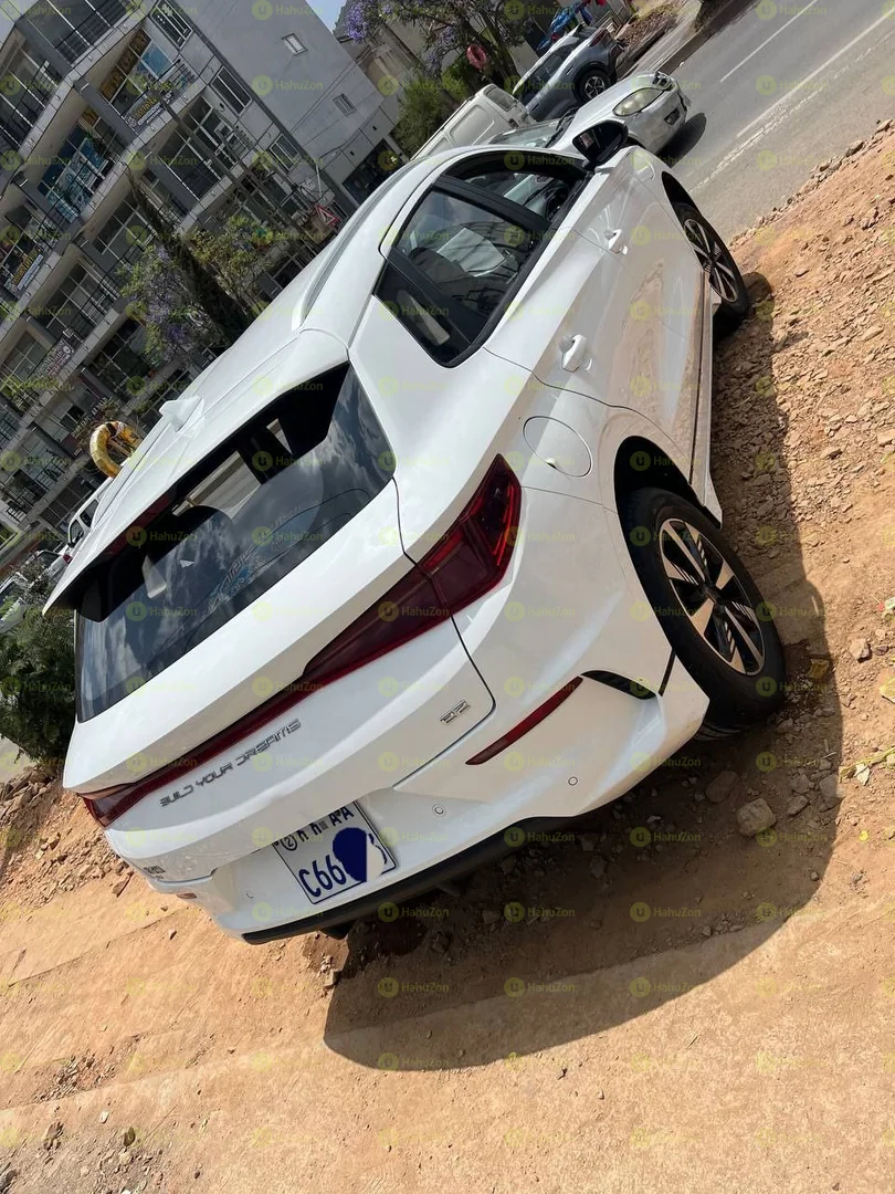 2024 Model-BYD e2