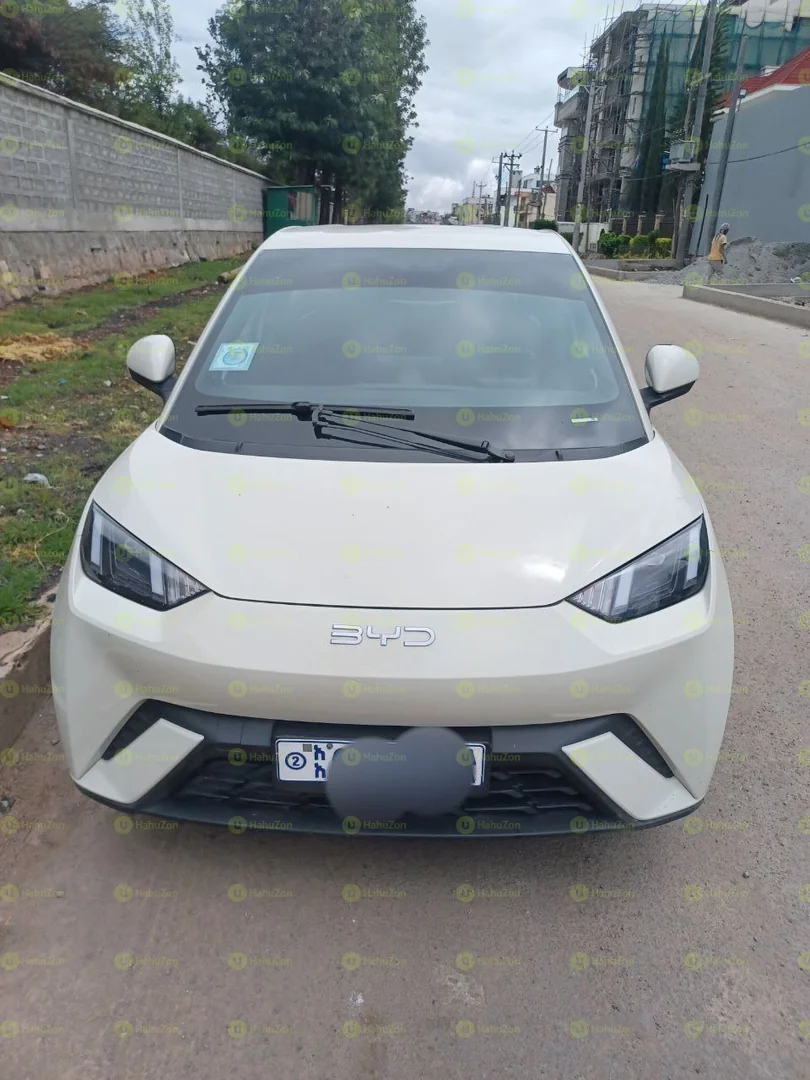 2022 Model-BYD Seagull