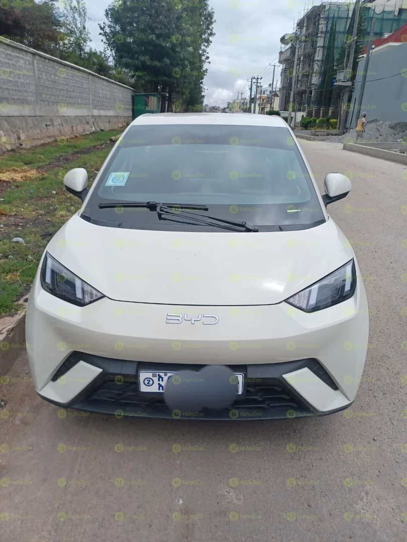 2024 Model-BYD Seagull