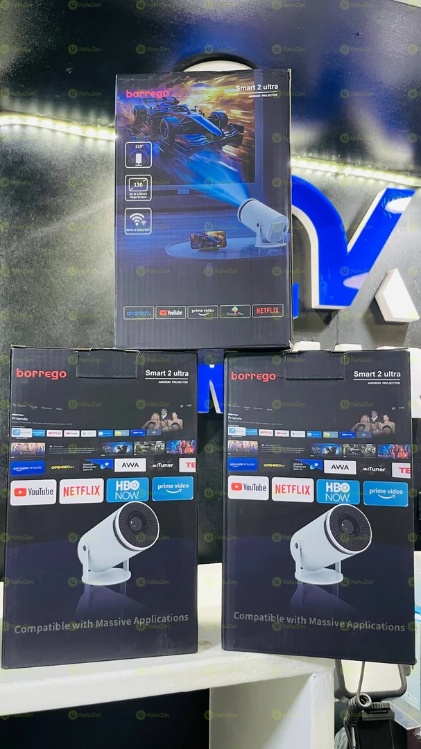 MINI Borrego Projector