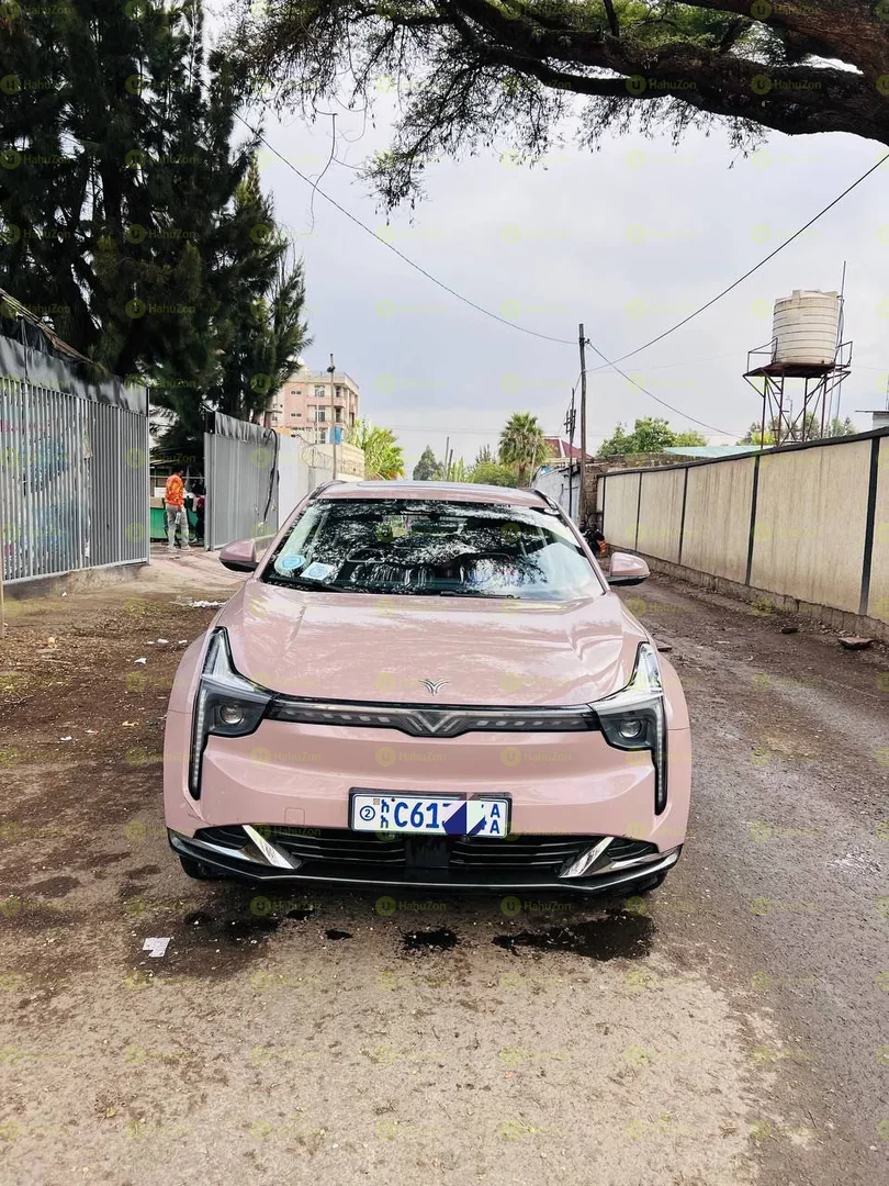 2023 Model-Hozon Neta