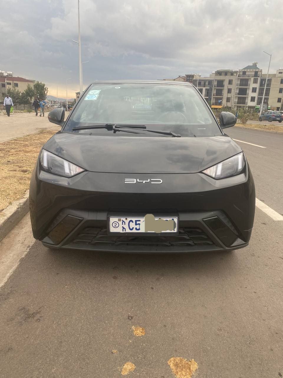 2024 Model-BYD Seagull