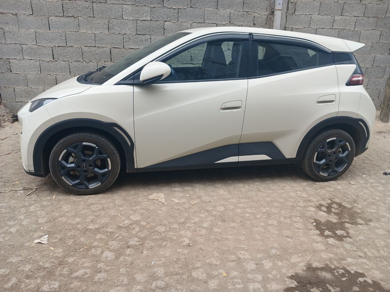 2025 Model-BYD Seagull